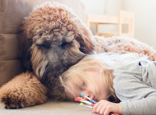 Logo for Linder Labradoodles