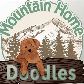 Logo for Mountain Home Doodles