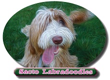 Logo for Sacto Labradoodles