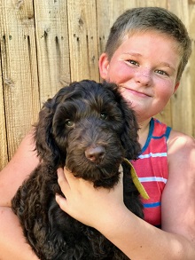 Logo for Shadow Mountain Australian Labradoodles, INC
